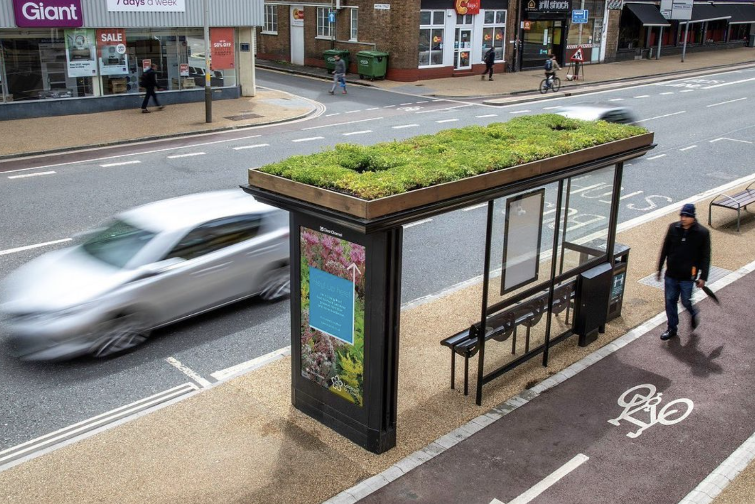 Green Roofs (and Bus Stops)