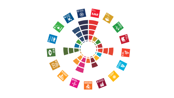 What Does Mapping the SDGs Really Tell Us?
