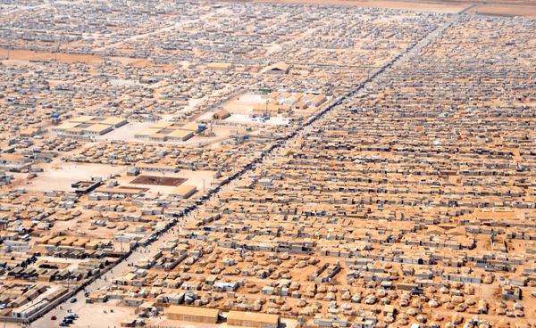 Trees in Refugee Camps