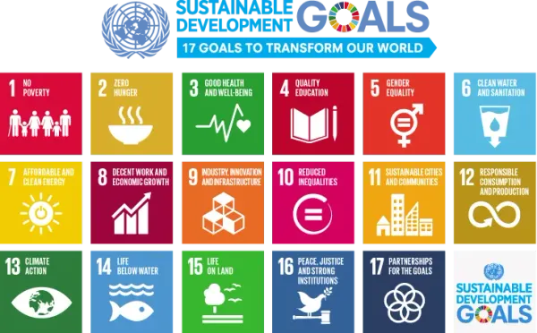 How are Business Schools Engaging in the SDGs?